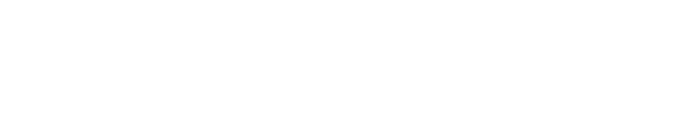 IRUNICA